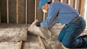 Best Batt and Roll Insulation  in Jacinto City, TX